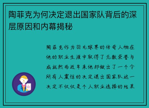陶菲克为何决定退出国家队背后的深层原因和内幕揭秘
