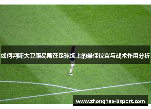 如何判断大卫路易斯在足球场上的最佳位置与战术作用分析