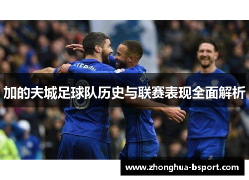 加的夫城足球队历史与联赛表现全面解析