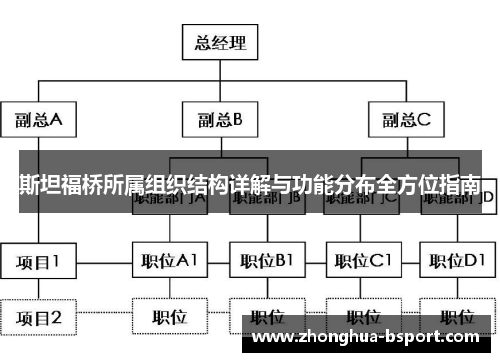 斯坦福桥所属组织结构详解与功能分布全方位指南