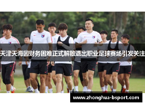 天津天海因财务困难正式解散退出职业足球赛场引发关注