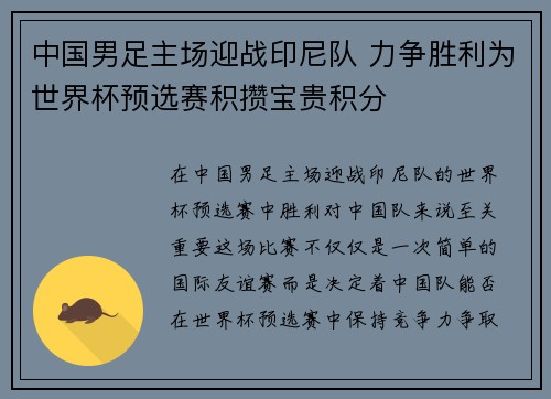 中国男足主场迎战印尼队 力争胜利为世界杯预选赛积攒宝贵积分